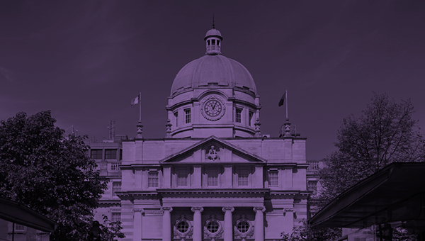 INTRODUCING THE PUBLIC SECTOR