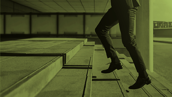 LOOKING AT THE CAREER LADDER