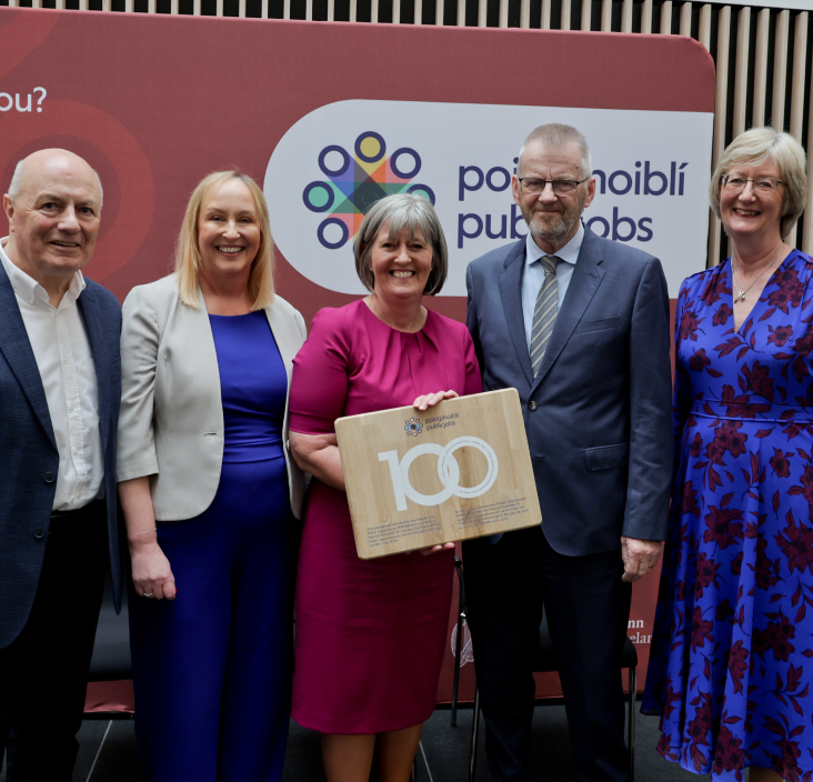 link to article on publicjobs brand launch